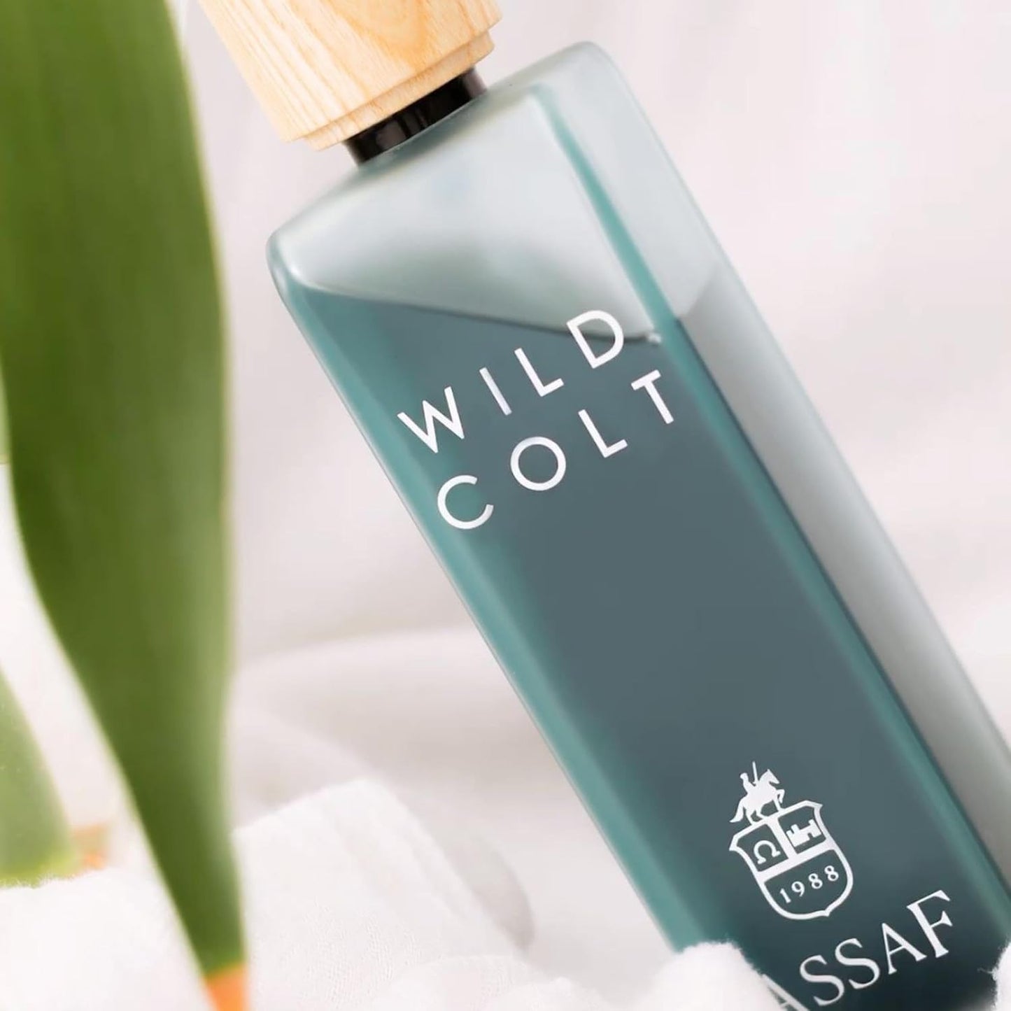 Assaf Wild Colt Eau de Parfum