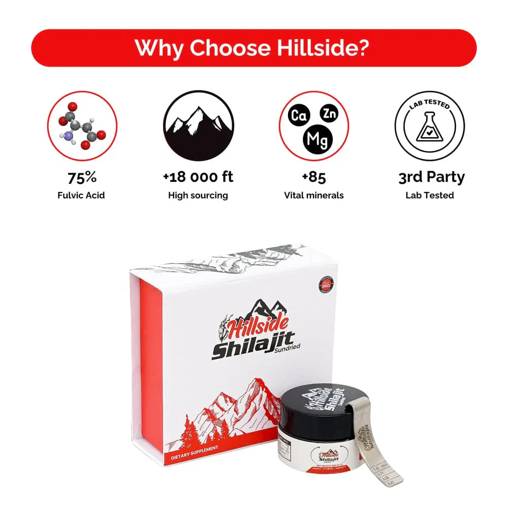 Hill Side shilajit