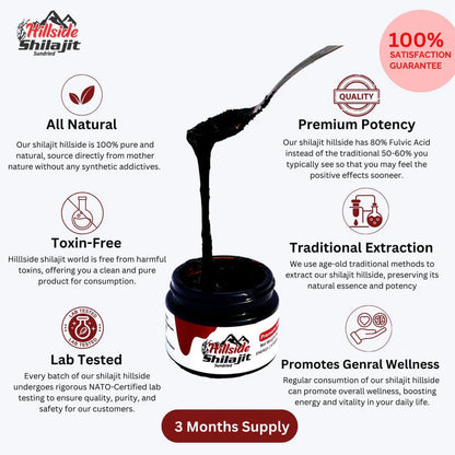 Hill Side shilajit