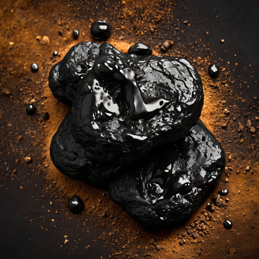 Hill Side shilajit
